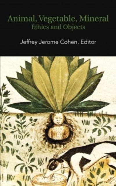 Animal, Vegetable, Mineral - Ethics and Objects