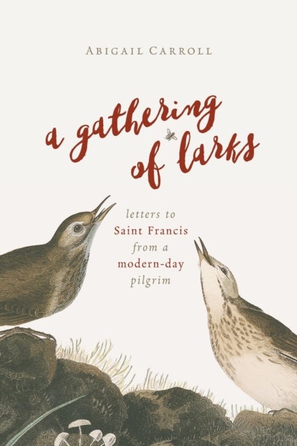 A Gathering of Larks - Letters to Saint Francis from a Modern-Day Pilgrim