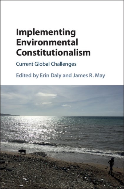 Implementing Environmental Constitutionalism - Current Global Challenges