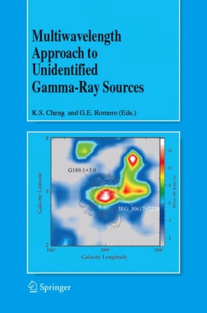 Multiwavelength Approach to Unidentified Gamma-Ray Sources - A Second Workshop on the Nature of the High-Energy Unidentified Sources