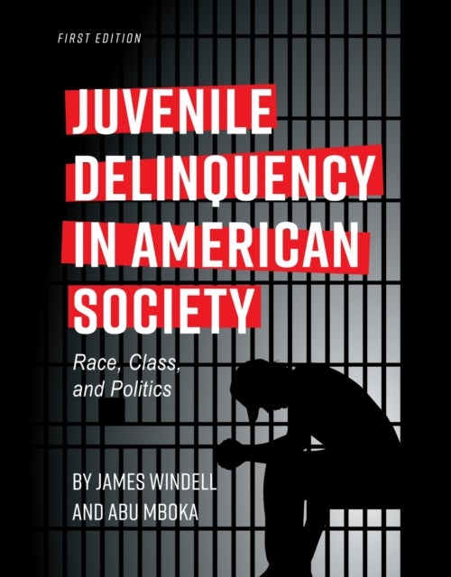 Juvenile Delinquency in American Society - Race, Class, and Politics