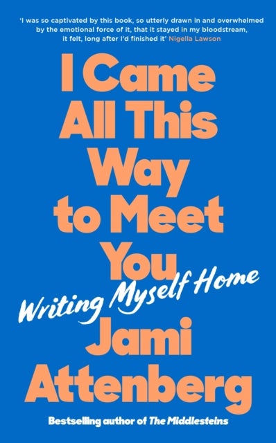 I Came All This Way to Meet You - Writing Myself Home