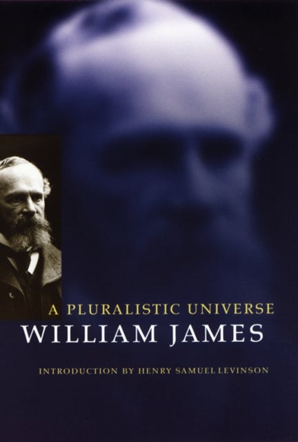 A Pluralistic Universe