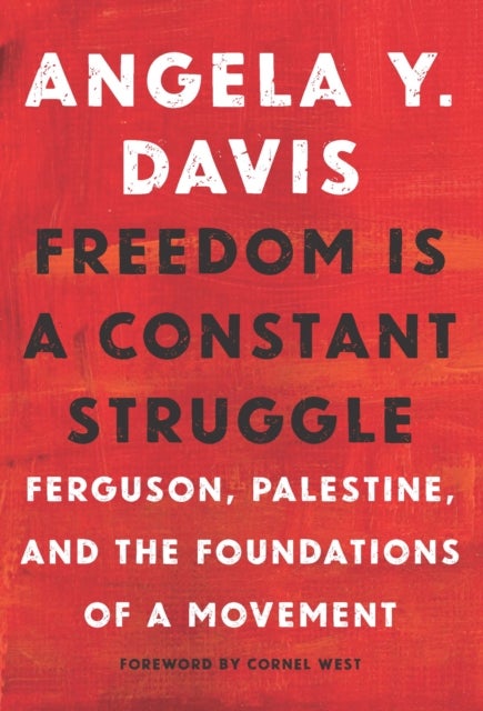 Freedom Is A Constant Struggle - Ferguson, Palestine, and the Foundations of a Movement