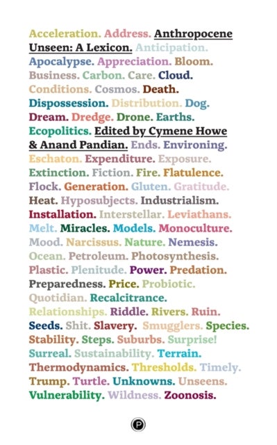 Anthropocene Unseen: A Lexicon - A Lexicon