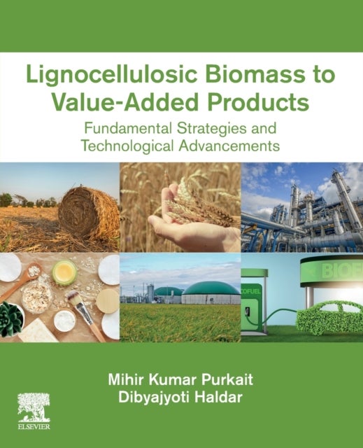 Lignocellulosic Biomass to Value-Added Products - Fundamental Strategies and Technological Advancements