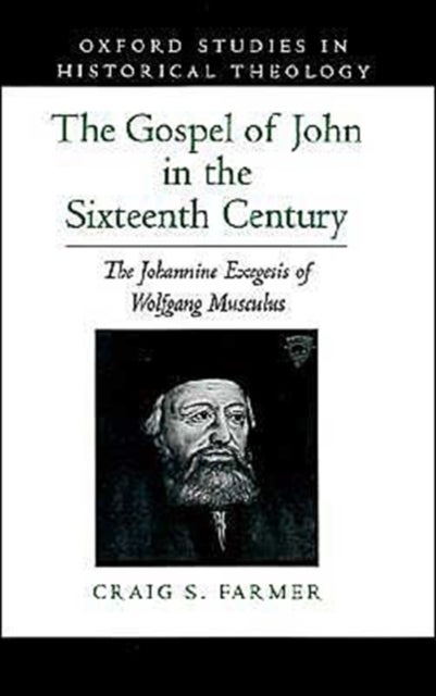 The Gospel of John in the Sixteenth Century - The Johannine Exegesis of Wolfgang Musculus