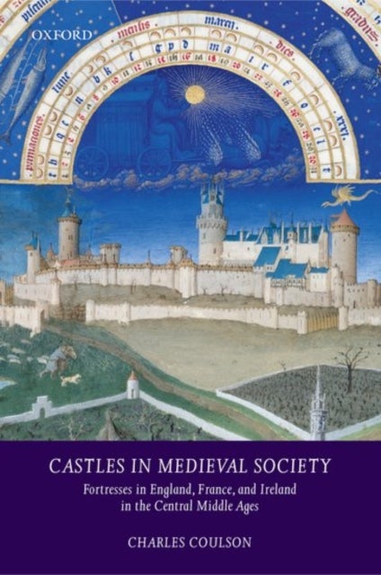 Castles in Medieval Society - Fortresses in England, France, and Ireland in the Central Middle Ages