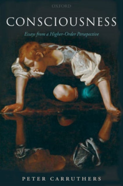 Consciousness - Essays from a Higher-Order Perspective