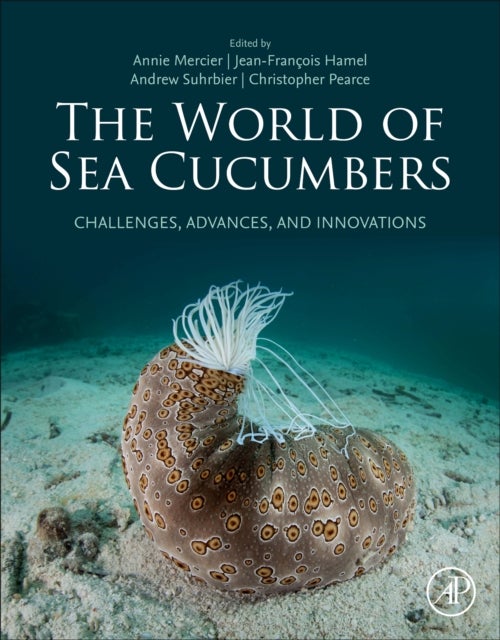 The World of Sea Cucumbers - Challenges, Advances, and Innovations