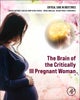 The Brain of the Critically Ill Pregnant Woman