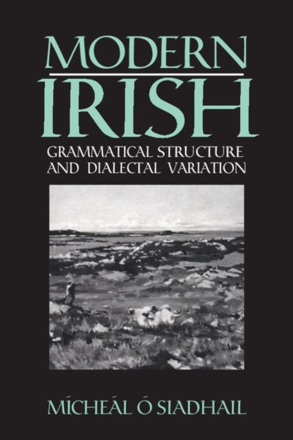 Modern Irish - Grammatical Structure and Dialectal Variation