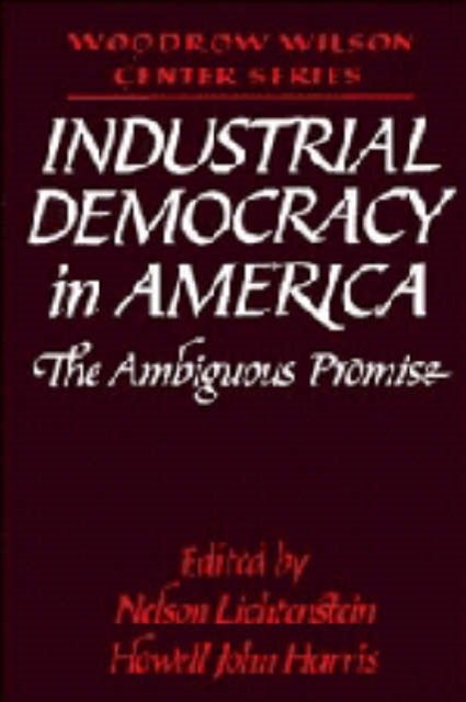 Industrial Democracy in America - The Ambiguous Promise