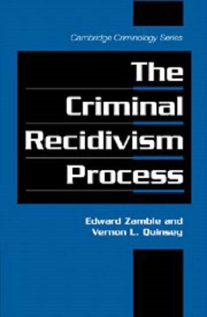 The Criminal Recidivism Process