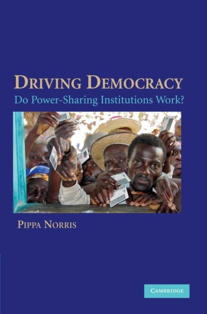 Driving Democracy - Do Power-Sharing Institutions Work?