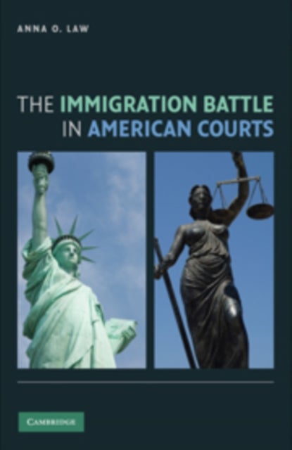 The Immigration Battle in American Courts