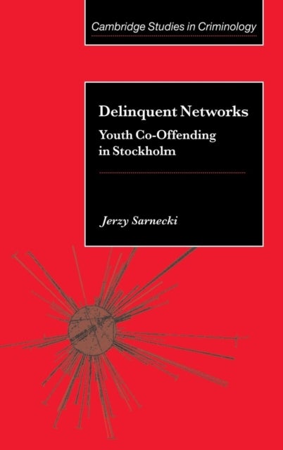 Delinquent Networks - Youth Co-Offending in Stockholm