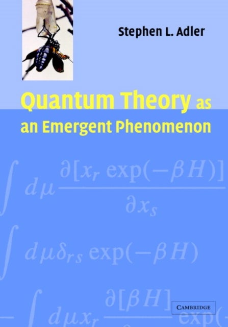 Quantum Theory as an Emergent Phenomenon - The Statistical Mechanics of Matrix Models as the Precursor of Quantum Field Theory