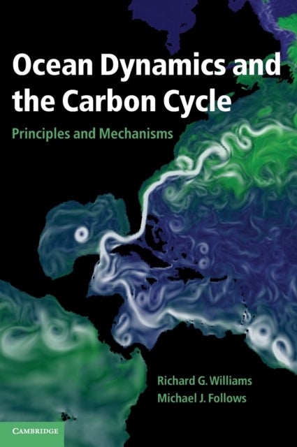Ocean Dynamics and the Carbon Cycle - Principles and Mechanisms