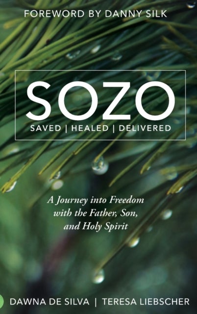 SOZO Saved Healed Delivered - A Journey into Freedom with the Father, Son, and Holy Spirit