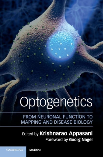 Optogenetics - From Neuronal Function to Mapping and Disease Biology