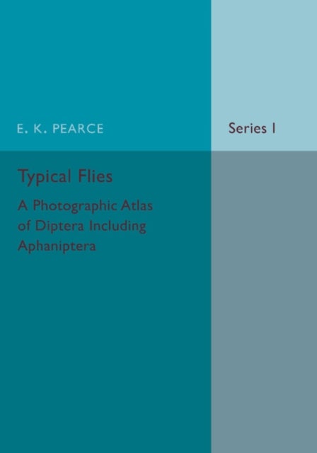 Typical Flies - A Photographic Atlas of Diptera