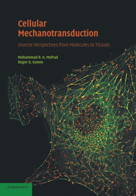 Cellular Mechanotransduction - Diverse Perspectives from Molecules to Tissues
