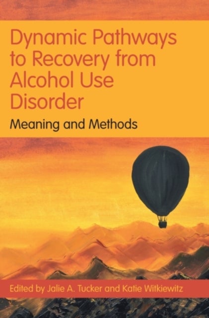 Dynamic Pathways to Recovery from Alcohol Use Disorder - Meaning and Methods