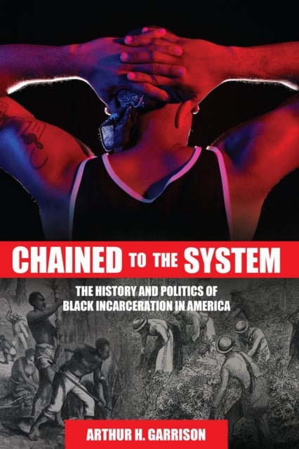Chained to the System - The History and Politics of Black Incarceration in America