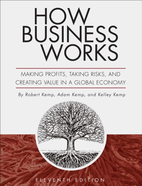 How Business Works - Making Profits, Taking Risks, and Creating Value in a Global Economy