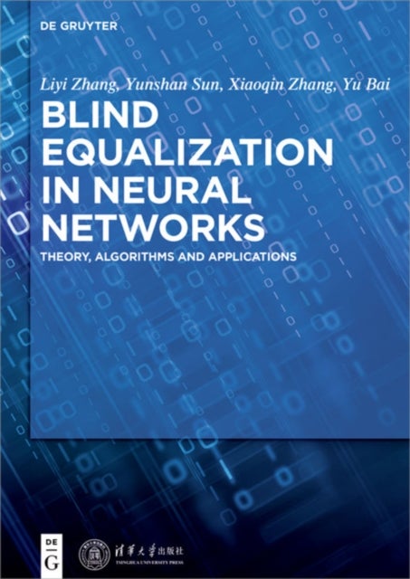 Blind Equalization in Neural Networks - Theory, Algorithms and Applications