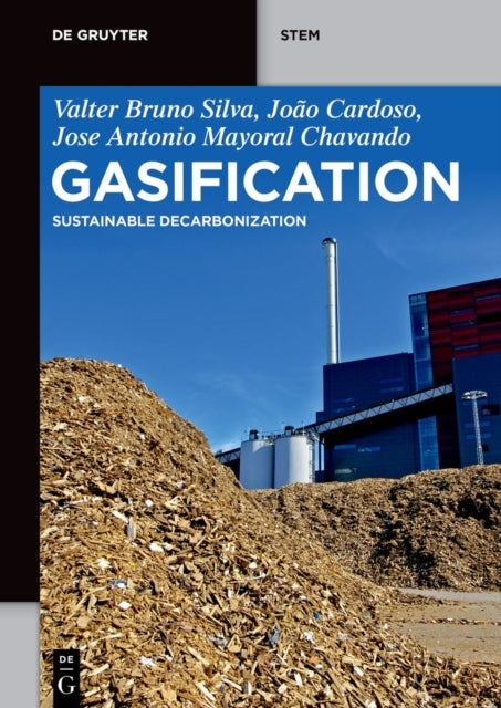 Gasification - Sustainable Decarbonization