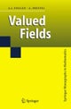 Valued Fields