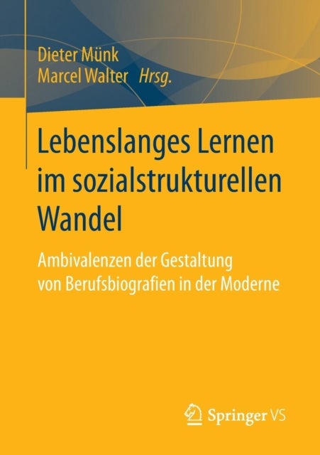 Lebenslanges Lernen im sozialstrukturellen Wandel - Ambivalenzen der Gestaltung von Berufsbiografien in der Moderne