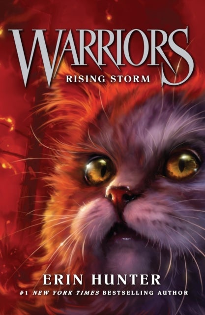 WARRIORS CATS 4 RISING STORM