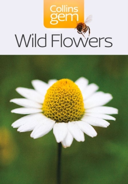 GEM WILD FLOWERS TPB