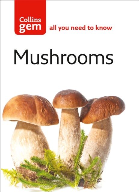 GEM MUSHROOMS PB