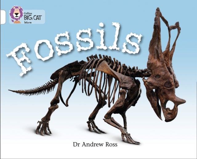 Fossils - Band 10/White