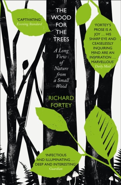The Wood for the Trees - The Long View of Nature from a Small Wood