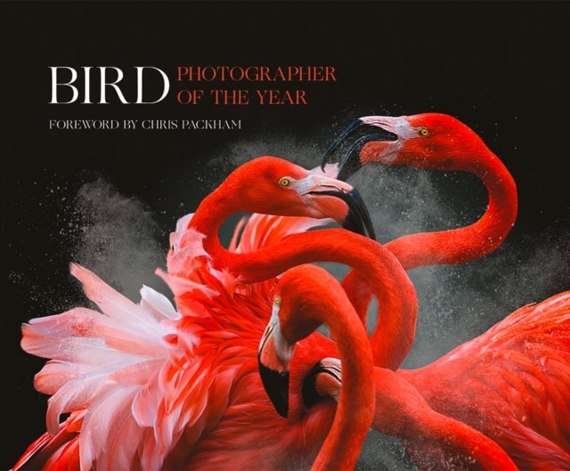 BIRD PHOTOGRAPHER OF YR HB - Collection 3