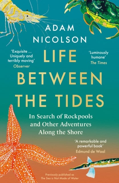 LIFE BETWEEN TIDES PB - In Search of Rockpools and Other Adventures Along the Shore