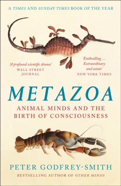 METAZOA PB - Animal Minds and the Birth of Consciousness