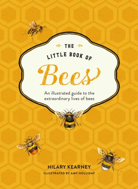 LITTLE BK OF BEES HB - An Illustrated Guide to the Extraordinary Lives of Bees