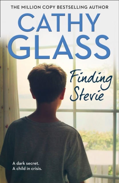 FINDING STEVIE PB