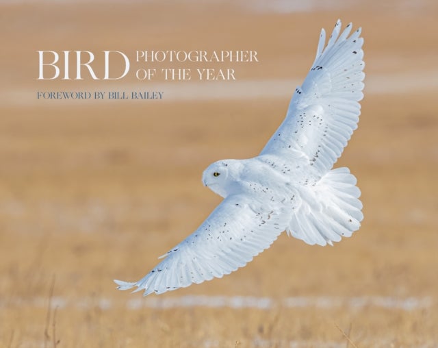 Bird Photographer of the Year - Collection 6