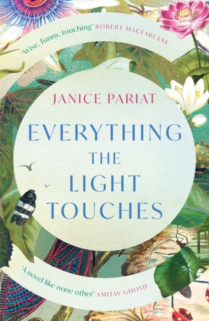 EVERYTHING LIGHT TOUCHES PB