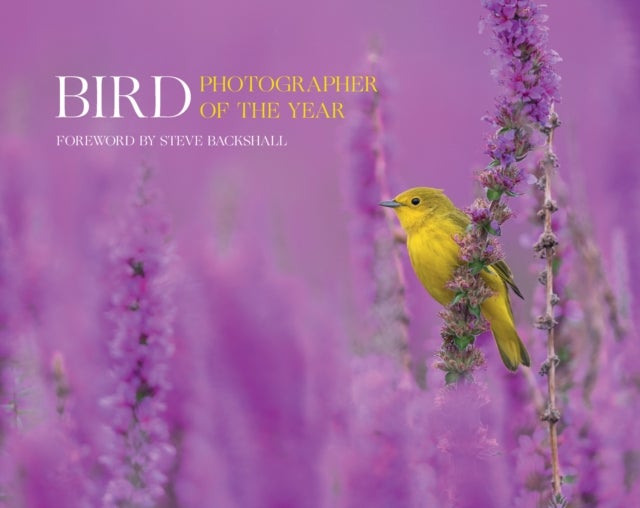 Bird Photographer of the Year - Collection 7