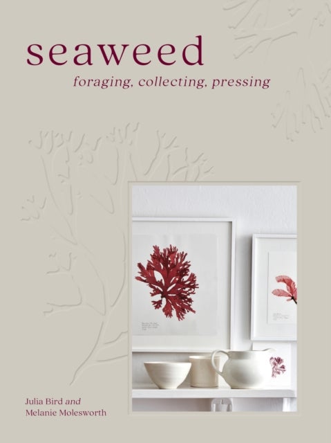 Seaweed - Foraging, Collecting, Pressing