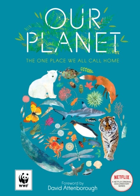 Our Planet - The One Place We All Call Home
