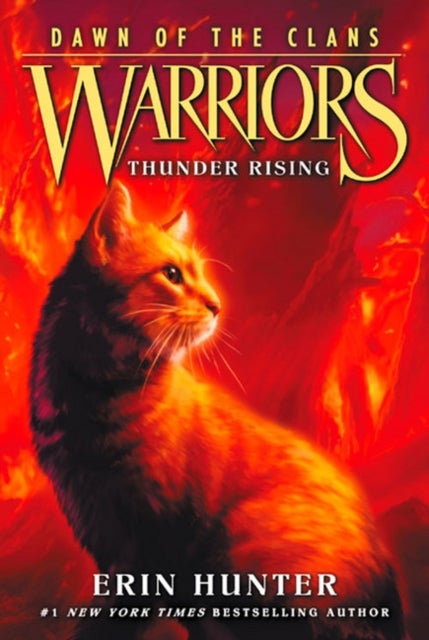 Thunder Rising